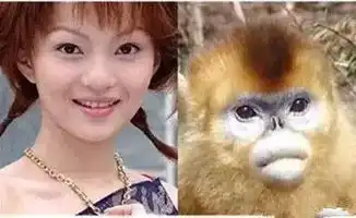动物们那些撞脸明星的超搞笑瞬间,你打几颗星
