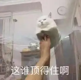揭秘抖音上的智商税躺着就能瘦不开刀能整容8块钱成为有钱人......
