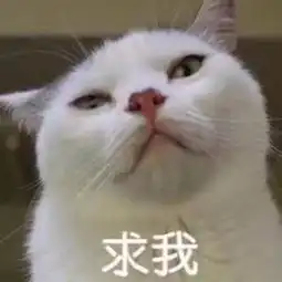 祖国的小玉衍的微博微博
