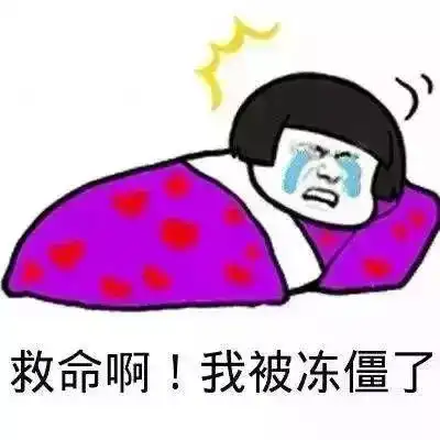 立春冻成狗,周五起宁波气温要急转弯了但春节的气温起伏想不到
