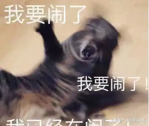 终于等到林书豪首秀就炸99分干翻辽宁队cba整整等了他1年

