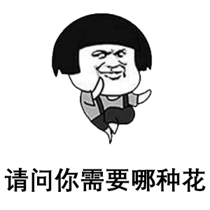 套路零花钱表情包我要开花店了,你需要哪种花
