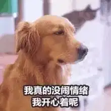 26张店的气温要上天明天停暖,7天内千万注意这些事
