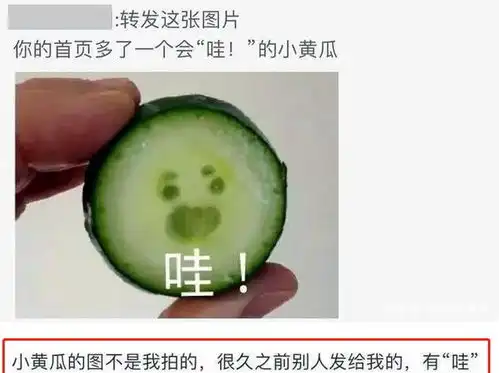肖战晒自拍,却被人认领表情包,网友谁有空看你的黄瓜
