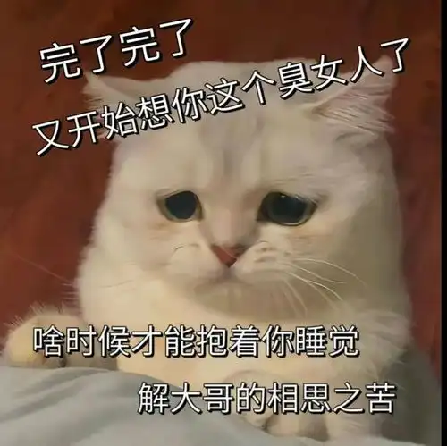 一组情侣聊天实用的表情包
