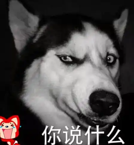 忧郁脸哈士奇走红,从不拆家也不吵,铲屎官却快抑郁了

