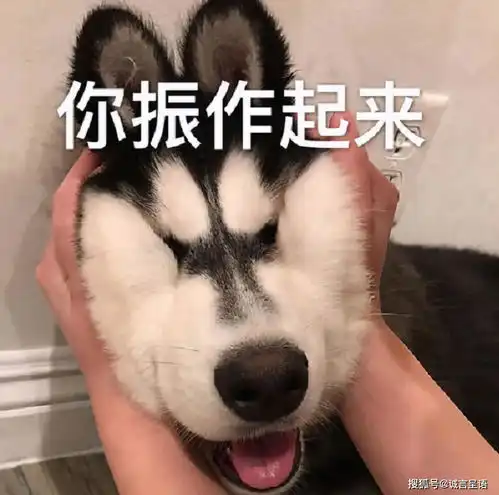 这届父母有多拼为了孩子不在山东高考,小老板考了个天津的硕士
