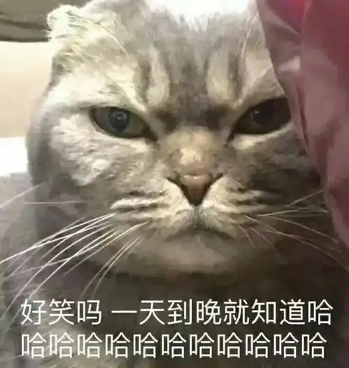 日常羡慕沈佳妮朱亚文承认怀二胎,2018变本加厉爱老婆
