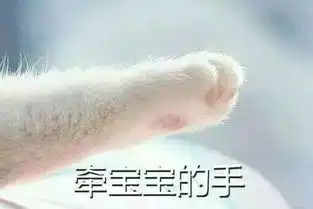 斗图表情压缩包牵手