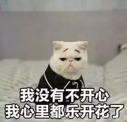国内有些地方下雪了,大朗也有雪,只不过
