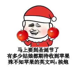 圣诞节单身狗qq表情包下载圣诞节单身狗qq表情包高清版1.0极光下载站
