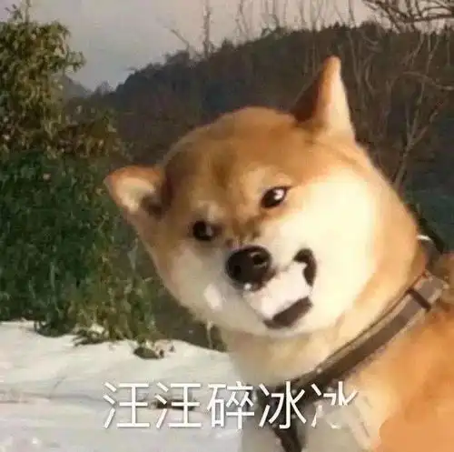 女生为了显腿长也是蛮拼的
