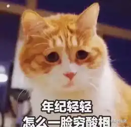 萌萌哒宠物表情包