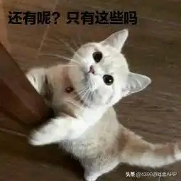 拿走我的少女心小花仙手游首测在即,拉贝尔欢迎小花仙回家
