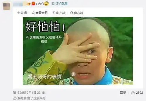 苏有朋被打回原型,引发五阿哥表情包斗图大赛

