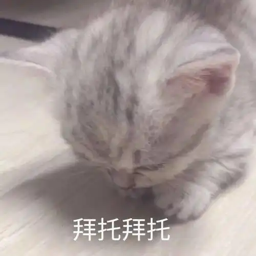 如何用日语撒娇
