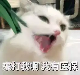 猫咪真的小气记仇吗你有被猫报复过么
