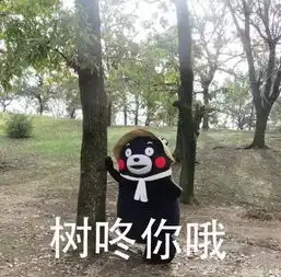 今天是520,你真的不打算撩我
