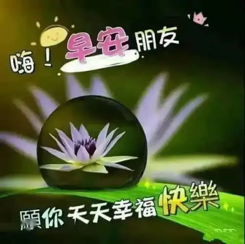 挤不进的圈子不要硬挤,难为了别人作贱了自己早安生活
