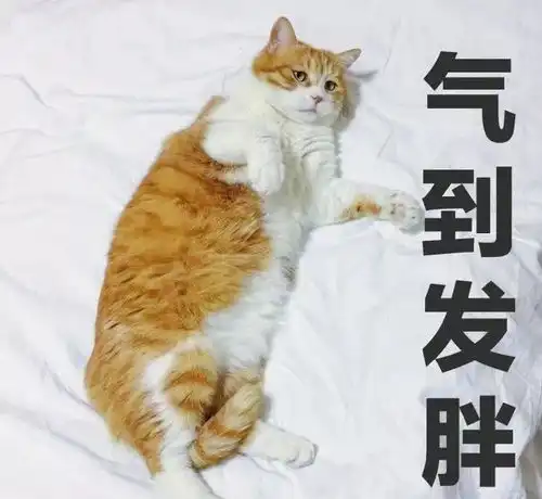 家里养一只啥都想吃的胖猫,连药都不放过,可是瞧瞧这毛色不对啊
