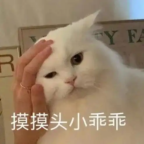 春天时候,小猫咪要面临这些生命威胁