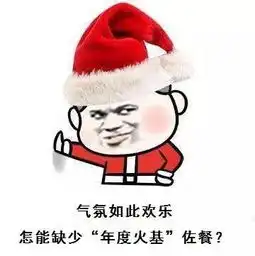 圣诞节不止火鸡大餐作伴,更有银华年度火基献礼
