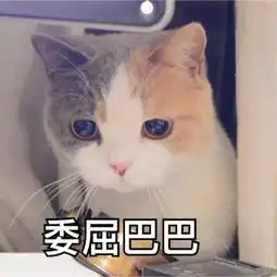 秋冬眼妆教程哪怕你是肿内双都一样可以画出好看的眼妆
