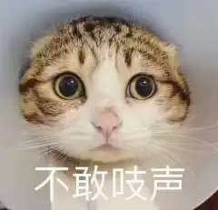 百万粉网红打假竟遭辱骂,这操作把我看傻了
