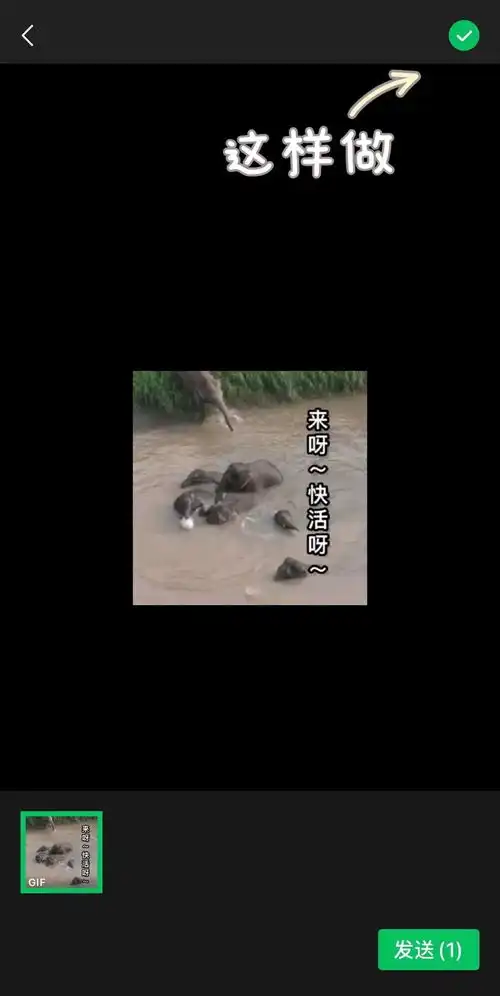 象群及独象持续小范围迂回活动萌象表情包上线
