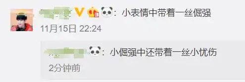艺术感动警犬贴了创可贴走红,表情包都出了网友这是男子汉的勋章
