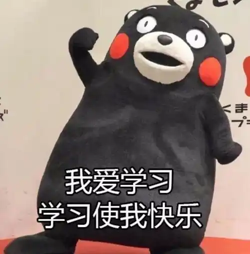 想知道你的对手的复习状态吗
