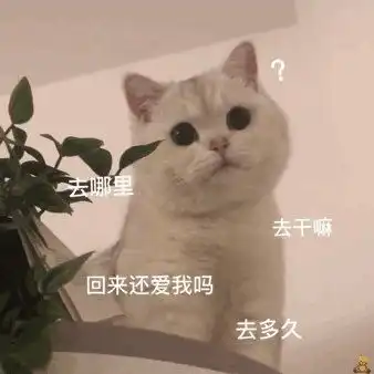 表情包我不是奥利奥,但可以泡一泡

