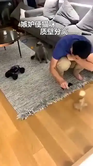 嫉妒让猫咪质壁分离铲屎的果然都是喜新厌旧的
