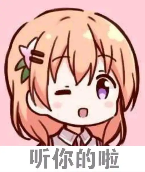 哔哩哔哩专栏
