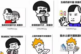 水土不服就服你表情包水土不服就服你图片v2017高清版软件下载
