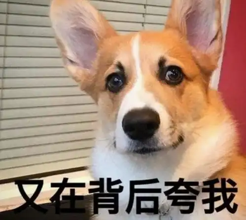 幽默笑话同学婚宴,同桌有一个婆婆,还没等大家吃完就开始打包
