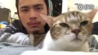 场面一度尴尬喵星人搞事被主人发现的瞬间
