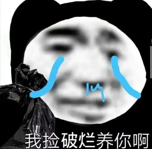 沙雕表情包我捡破烂养你啊
