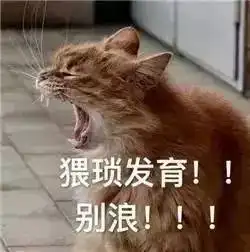 猥琐发育后台暗恋这说的不就是你吗