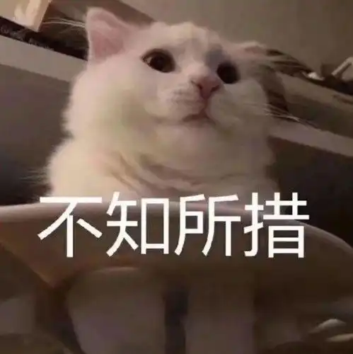 沙雕表情莫说了直接开舔就完事了
