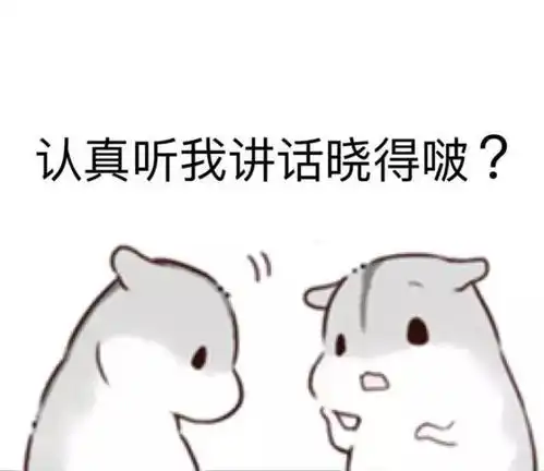 萌萌哒小仓鼠
