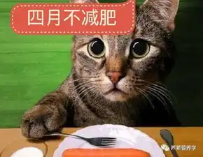 改善身体成分,预备跑
