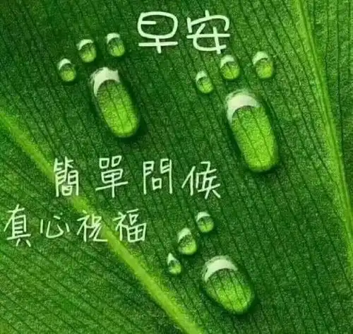 10月2日国庆节清晨早上好问候祝福动态表情图片最美早晨好问候动态表情鲜花图片
