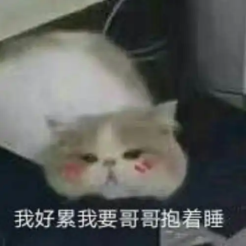 可爱的要抱抱表情包合集
