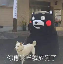 狗为什么爱主人专家因为它们都是受虐狂
