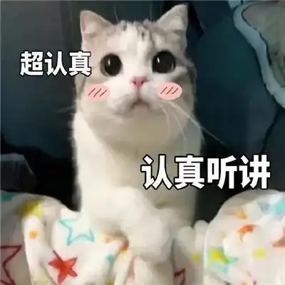猫图第三波表情包自取
