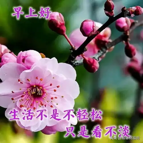 12月9日最新早上好唯美祝福表情图片清晨把祝福送给最在乎的人
