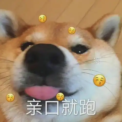 表情包我今天也是可爱到爆了耶
