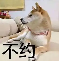 超火的沙雕柴犬表情合集,两手插兜,谁都不爱
