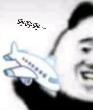 qq飞机呼呼呼表情包图片大全
